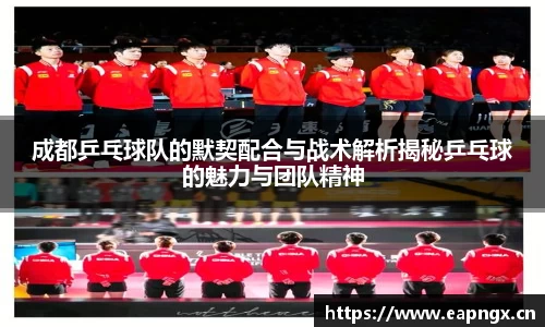 VSport胜利因您更精彩