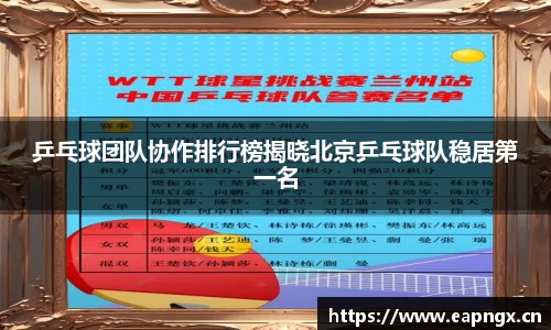 VSport胜利因您更精彩